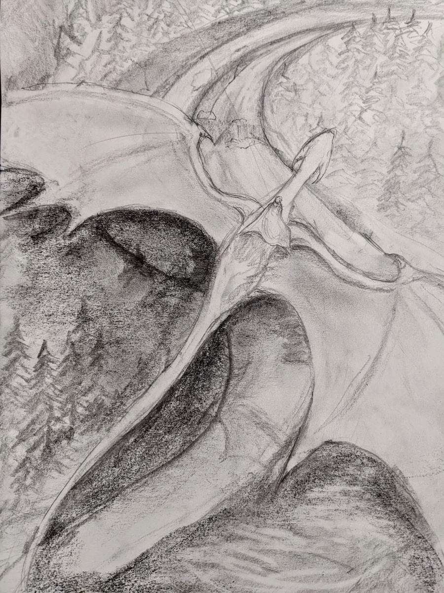 Dragon drawing fantasy art